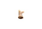 CryoValve - Model SG - Pulmonary Cryopreserved Human Tissue Heart Valve