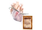 CryoPatch - Autologous Pericardium