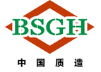 BSGH - 250 Ton Metal Baler Machine Equipped with Hydraulic Feeding Hopper