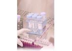 Pfizer - Coronavirus Disease (COVID-19) Vaccine