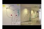 Interview with the Aladina Foundation - Video