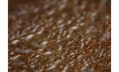 UCO - Food Waste and Grease Traps Oil