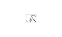 PTCA  Guide Wires