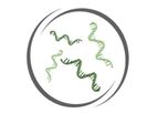 Evox - Model IP Estate - Nucleic Acid-Based Agents