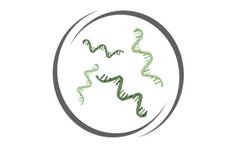 Evox - Model IP Estate - Nucleic Acid-Based Agents