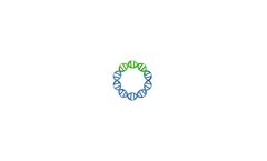 SynCon - Precisely Designed Plasmids