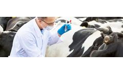MilkingCloud - Freelance Veterinary Application Software