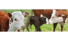 MilkingCloud - Breeding and Insemination Monitoring Software