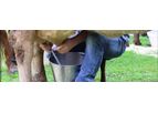 MilkingCloud - Milk Yield and Efficiency  Software for Cow