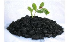 Pyrotech - Biochar for Soil Amendment