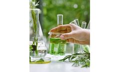Research and Development Services