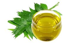 Neem Oil