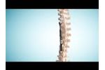 ApiFix Animation - Video