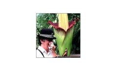 Swiftgrow - Model Odorclean - Bio-Activation Formula/Odor Control Formula