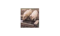 HYDROSTER - Water Disinfection Using A Natural Dietary Approach