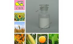 Stimulate Rooting 1-Naphthylacetamide NAD 98%Tc Naphthaleneacetamide
