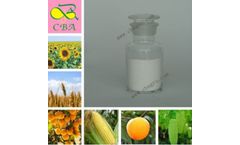 NAD 98%Tc Plant Growth Regulator Rooting Hormones Naphthalene Acetamide Nad