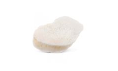 RTI - Conventional Allografts