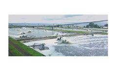 UZ-Min - Model ACG003 - Clinoptilolite Zeolite Granules