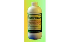 Model Azospirillum - Nitrogen Fixing Biofertilizer