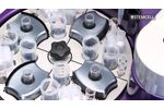 How to Transition Human Pluripotent Stem Cells into mTeSR™ Plus from Other Feeder-Free Media - Video