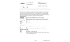 Stemcell - Model bFGF - Human Recombinant - Brochure