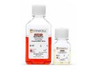 mTeSR - Model 1 - Feeder-Free Maintenance Medium for Human ES and iPS Cells