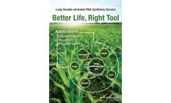 AgroRNA - Long dsRNA Synthesis Service - Brochure