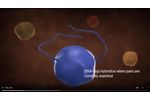 PEA Technology Animation 2020 - Video
