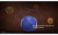 PEA Technology Animation 2020 - Video