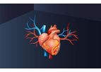 Olink Explore - Model 384 -II - Cardiometabolic & Cardiometabolic Protein Biomarker Panel