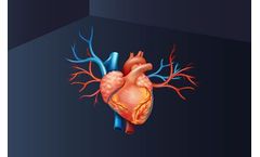 Olink Explore - Model 384 -II - Cardiometabolic & Cardiometabolic Protein Biomarker Panel