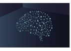 Olink Explore - Model 384 -II - Neurology & Neurology Inflammation & Inflammation Protein Biomarker Panel