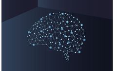Olink Explore - Model 384 -II - Neurology & Neurology Inflammation & Inflammation Protein Biomarker Panel