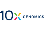 Single Cell Multiome ATAC + Gene Expression
