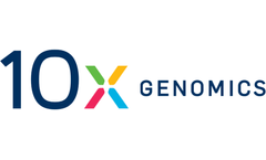 Single Cell Multiome ATAC + Gene Expression