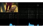 Snout Boops - Video