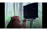 Monkey MindPong - Video