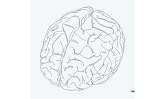 Brain Interfaces Device for Reconnecting Thought to Action