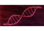 Claret - Srsly Technology for DNA