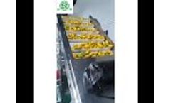 Mango Pulp Machine, Commercial Mango Pulp Making Machine - Video