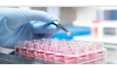 Indivumed - Drug Profiling Services