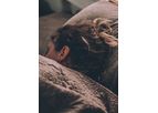 Clickadian - Model CT-141 - Sleep Interventions for the Treatment of Insomnia