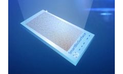 Tethis - Smart Bio Surface (SBS) - Living Cell Functionalized Glass Slides
