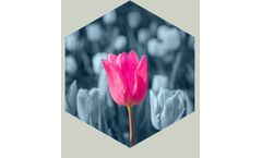 Iktos - IT Infrastructure Technology