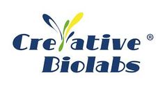 Exosome Display Technology for Antibody Generation, Targeted Delivery, and Protein Array Screen