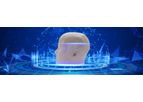 Encephalon - Model 3D - 3D Single-use Head Phantom