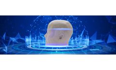 Encephalon - Model 3D - 3D Single-use Head Phantom