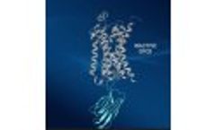 Confo Therapeutics GPCR Animation One - Video