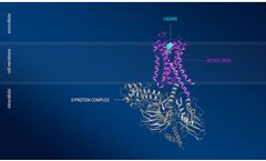 Confo - G Protein-Coupled Receptors (GPCRs)  Technology
